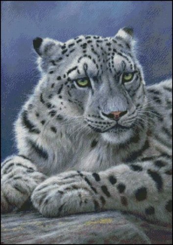(image for) Snow Leopard 2 - JP